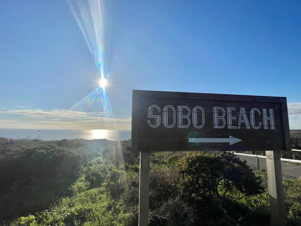 The Chess Suite - Image 4