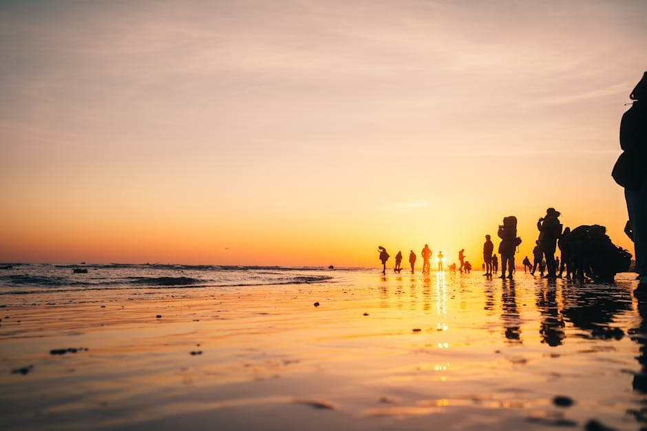 Silhouettes of people on a reflective coastline at golden hour during a summer sunset