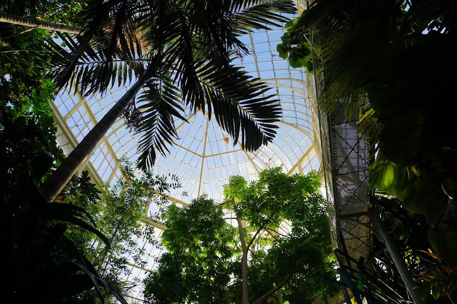 Lush tropical plants filling a Victorian glasshouse dome, the kind of exotic planting found in Bournemouth's cliff gardens